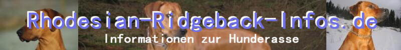 Der Rhodesian Ridgeback Bilder und Infos zur Hunderasse